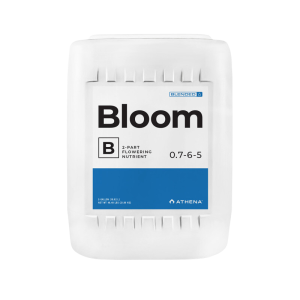 BLoom B 18,92 L