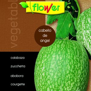 Calabaza cabello de ángel