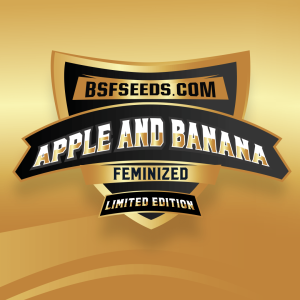 Apple and Banana *LE- X12