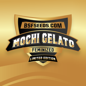 Gelato Mochi *LE - X12