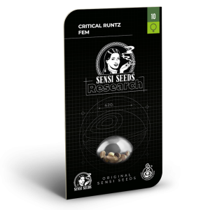 Critical runtz (3) 100% Sensi Seeds