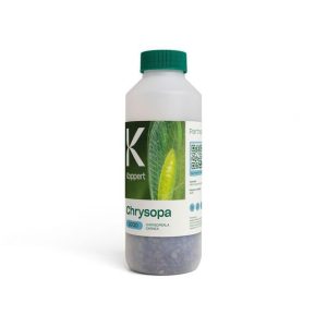 Chrysopa