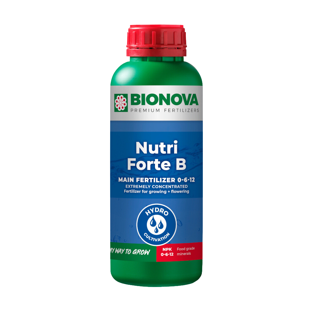 Nutri Forte B 1 L Bionova