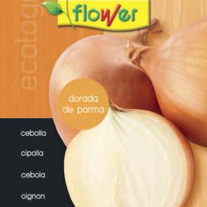 Cebolla dorada de Parma