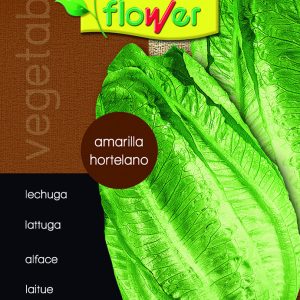 Lechuga amarillo hortelano