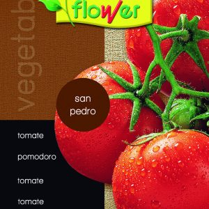 Tomate San Pedro