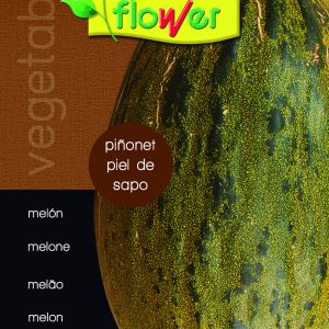 Melón piñonet piel de sapo