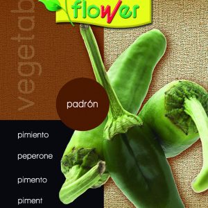 Pimiento Padrón
