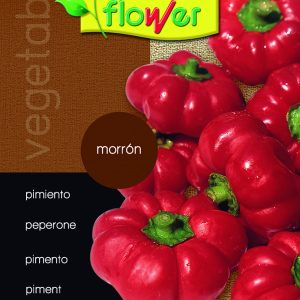 Pimiento morrón