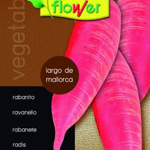 Rabanito largo de Mallorca