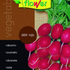 Rabanito dátil rojo