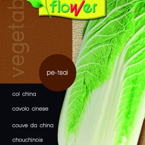 Chinese cabbage pe-tsai