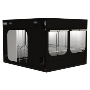 Invernadero Intense 300 r3