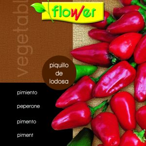 Pimiento del piquillo