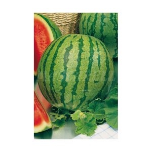 Crimson Sweet Watermelon