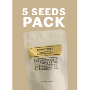 Gelato 41 auto (3) Seed Stockers