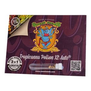 Tropicanna poison XL auto (3) sweet seeds