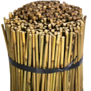 Tutor Bambú 1,20 m - 8/10 mm