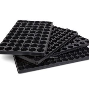 Bandeja plástico vacía (33 mm) 60 alv (1 u) Jiffy