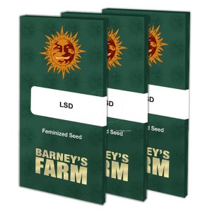 Lsd (10) 100% barney's farm seeds