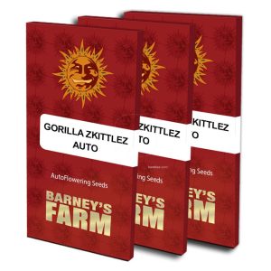 Gorilla zkittlez auto (10) barney´s farm seeds