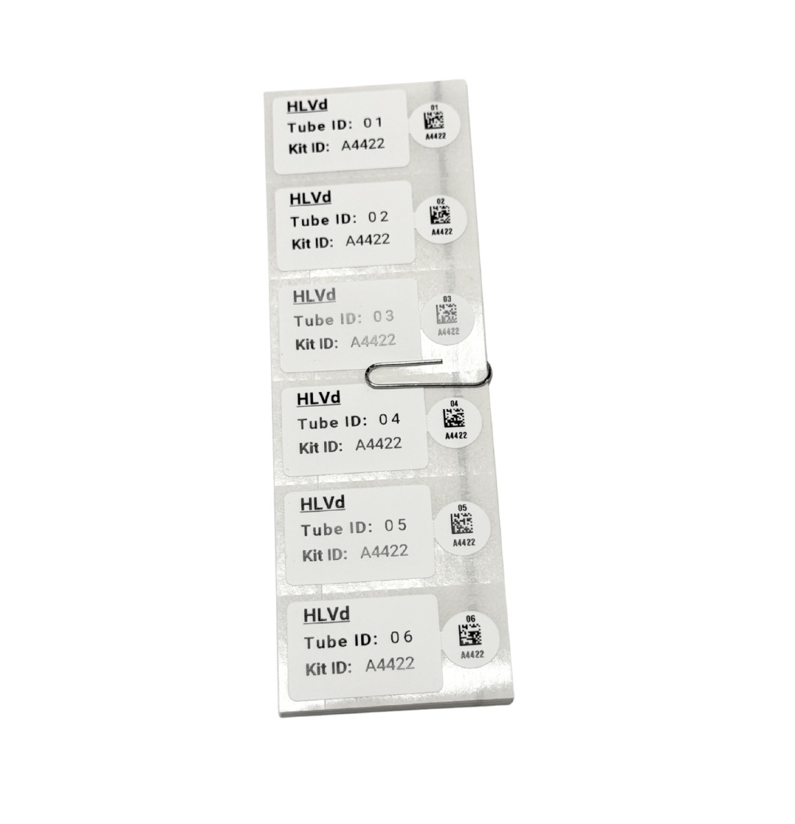 TUMIGlow HLVd testing kit (48 test) - Image 4