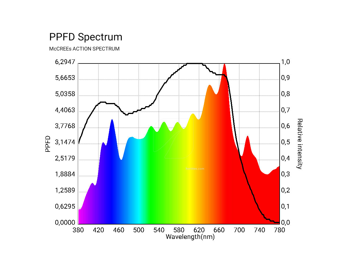 Bombilla solux 630w/3100k pro lec de - Image 2