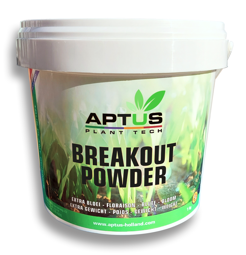 Break-out powder 1 kg