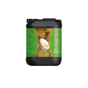 Coco Max B 5 L Atami