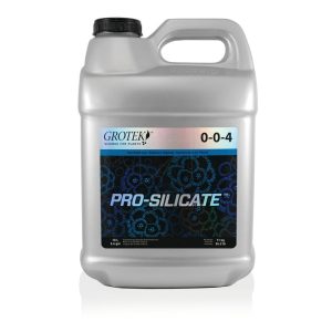 Pro silicate 10 l