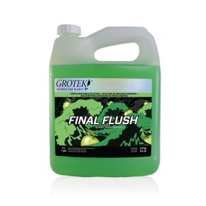 Final flush regular 4 l