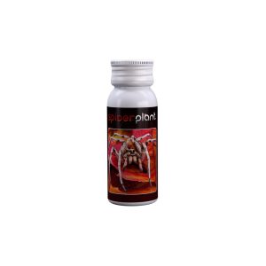 Spider Plant 60 ml