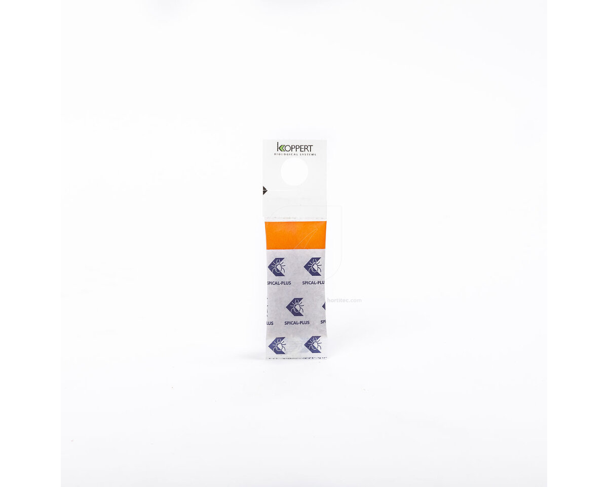 SPICAL Ulti-Mite 500 sobres (neoseilus californicus) Koppert