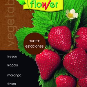 Fresas cuatro estaciones