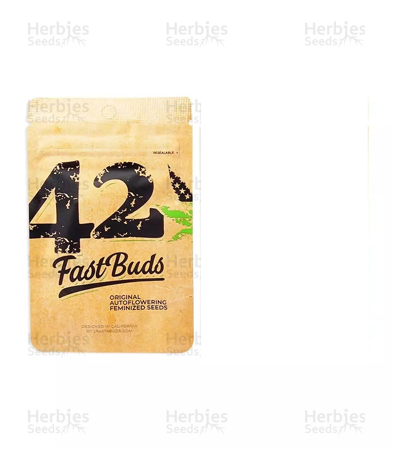 Original cinderella auto (5) fastbuds