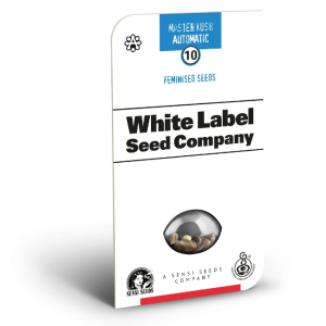 Master kush auto (5) White label