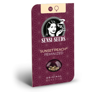 Sunset peach (5) Sensi Seeds