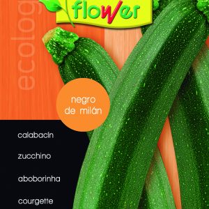 Calabacín negro de milán