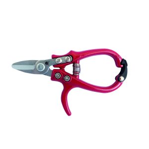 Tijera Mediterráneo