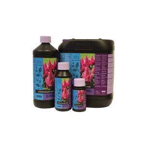 Blossom builder 5 l