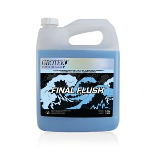 Final flush regular 1 l