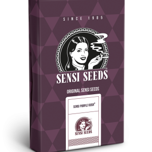 Sensi purple kush (3) 100% Sensi Seeds