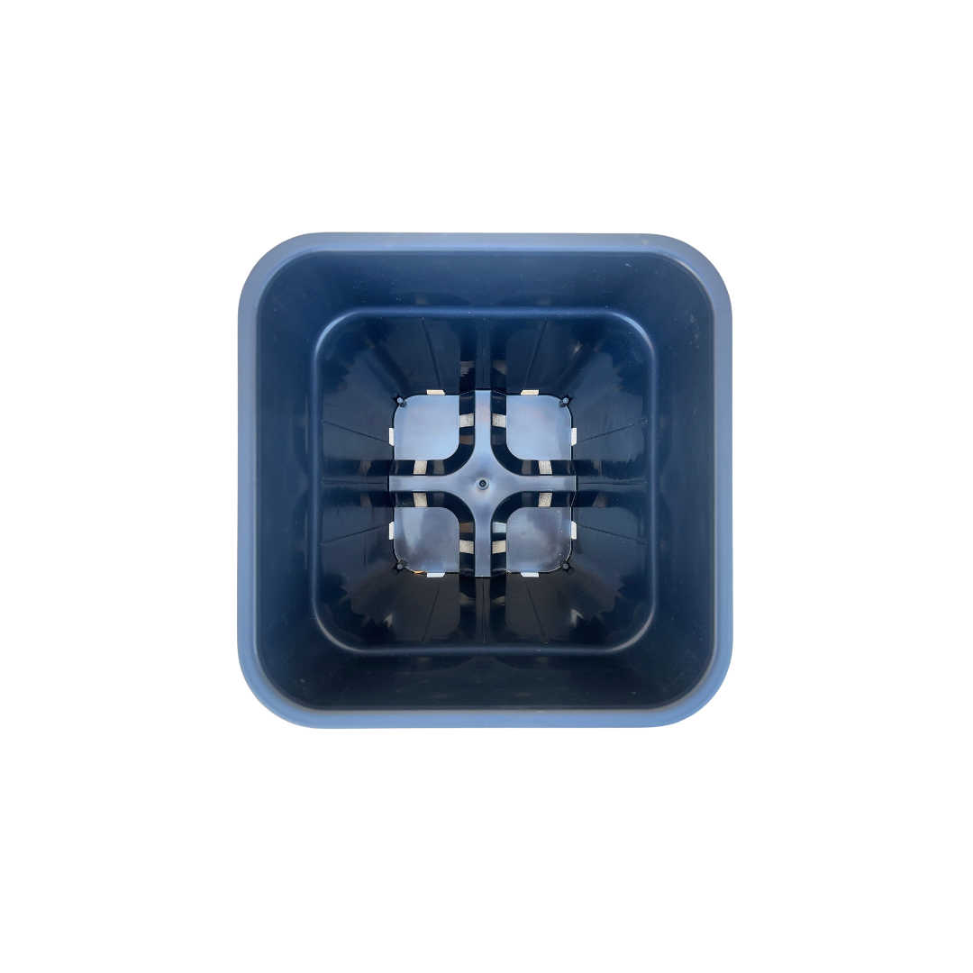 Maceta cuadrada Hulk (15 x 15 x 20 cm) 3,5 L (33 uds) - Image 9