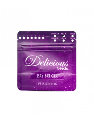 Bay Burger (5) Delicious Seeds