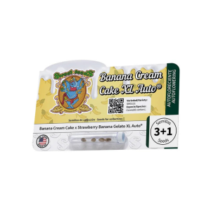 Banana Cream Cake XL (5) Auto Sweet Seeds