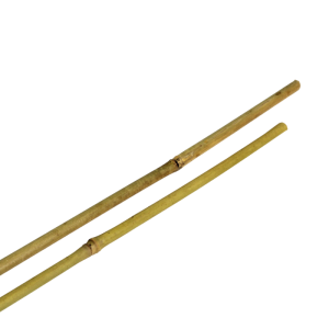 Tutor bambu 120 cm 10/12 MM