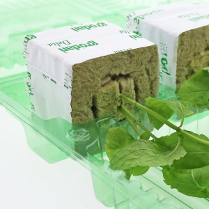 Funda trasporte 3 esquejes 3 bloques altura 22 cm (1 u)