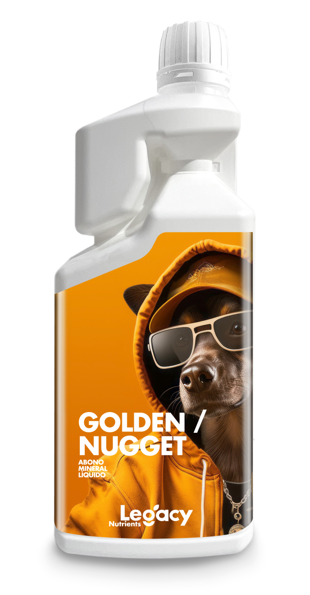 Golden Nugget 10 L Legacy