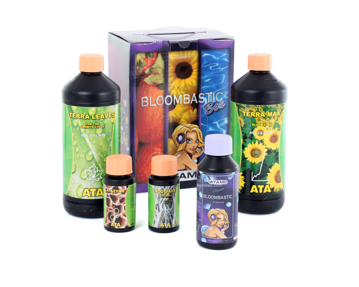 ATA/Terra Bloombastic Box