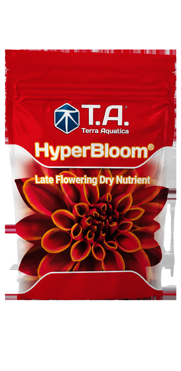 Hyperbloom